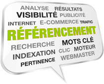 analyse referencement nantes